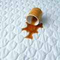 Waterproof Quilted Mattress Protector